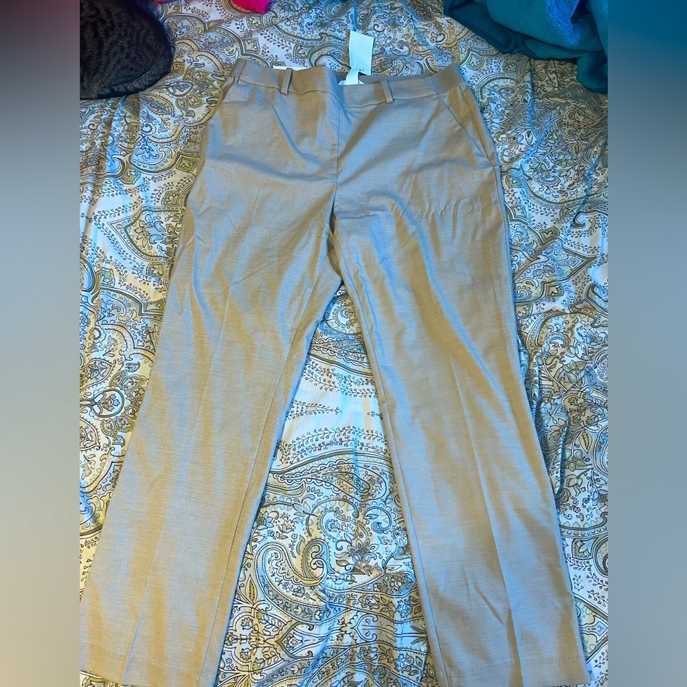 Great dress pants